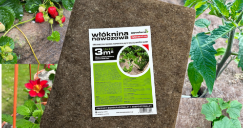 Zainspiruj się z różowymi Woolinami 🩷